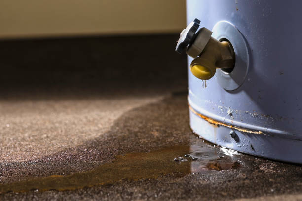 Best Basement water damage restoration  in Crompond, NY