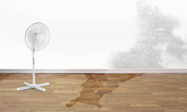 Best Sewage cleanup and water damage restoration  in Crompond, NY