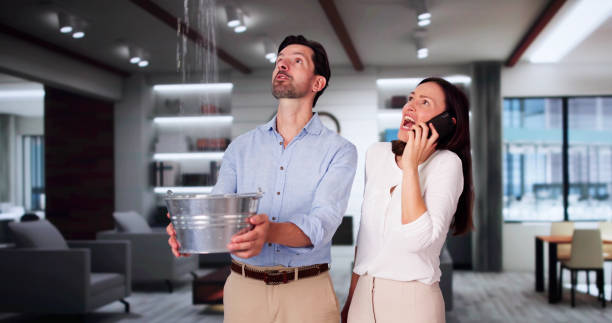 Best 24/7 water damage repair  in Crompond, NY